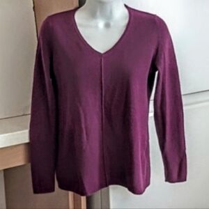 Cashmere Sweater sz S
